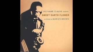 His Name Is Alive - Sweet Earth Flying