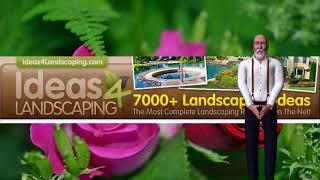 Landscape Design Tips For Beginners