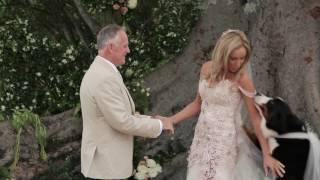 Bernese Mountain Dog Interrupts Wedding Ceremony