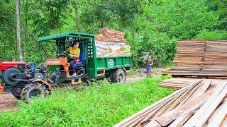 Use Truck Transport Livestock Feed - Transporting Firewood - Truck Driver Girl - New Life