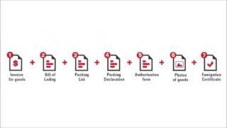 sea freight process