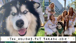 Enjoying the San Diego Holiday Pet Parade!