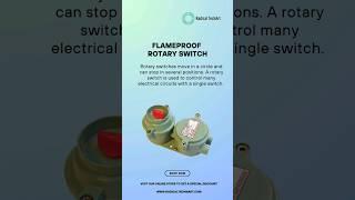  Flameproof Rotary Switch  #flameproof #rotary #switch #Radicaltechart #Radicaltechmart #shorts