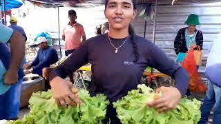 FEIRA COM FEIJÃO VERDE 3 LITRO POR 20 REAIS E CHEIRO VERDE 1 REAL E SÓ EM SOUSA PB!!!