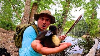 Baby Duckling & Bass Fishing!!! (Underwater View)