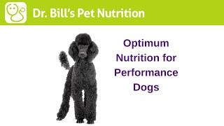 Optimum Nutrition for Performance Dogs | Dr. Bill's Pet Nutrition | The Vet Is In