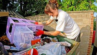 Dumpster Diving Apartments – Cleaning Supplies, Clothing, Home Goods, and More!