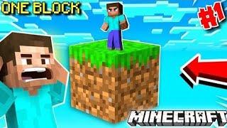 First gameplay series #1 oneblock||Minecraft|| Insane satyam gaming