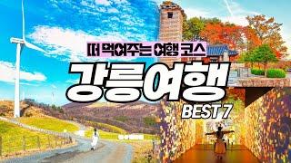 강원도 강릉 당일치기 여행 코스 가볼만한곳 BEST 7 (w. 강릉또강릉) 대관령 하늘목장, 그대 나의 뮤즈, 선교장, 맛집과 카페 총정리(후추커피)