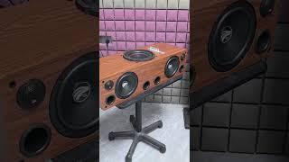 DIY 2.1 channel integrated speakers