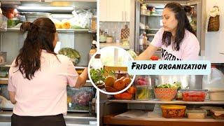 Fridge Cleaning/Organizing I Mini Meal Plan I Mango Ice cream