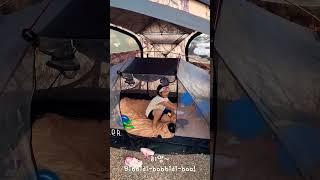 마법을 부리는 꼬마캠퍼