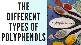 What Are The Different Types Of Polyphenols?