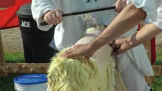 Parchment Making Workshop - Hide Cleaning (Part 1)