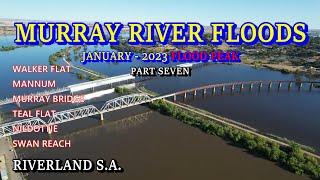 Murray River Floods 2023 / Part Seven - Walker Flat to Murray Bridge to Blanchetown