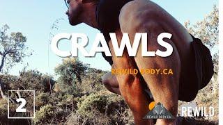  Crawl & Wall Flow 