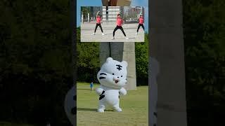 함께해요 국민건강체조 with 백호돌이! - 손등치기