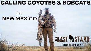 New Mexico Predator Hunting! Calling Coyotes & Bobcats | The Last Stand S7:E9