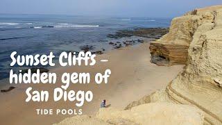 Sunset Cliffs - Hidden Gem of San Diego | Exploring Tide Pools and a Beautiful Beach Hike