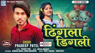 Dhingala Dingali ! PRADEEP PATEL ! ढींगला डिंगली ! New Timli Song 2025 ! Pradeep Patel New Timli