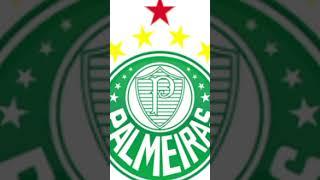 Botafogo vs palmeiras