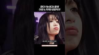 [베이비몬스터] 너무 다른 아현 치키타 반응 ㅋㅋ