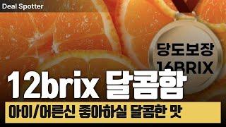 신맛없는 달콤한 제주귤 3종 추천!