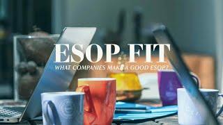 What Companies Make a Good ESOP?