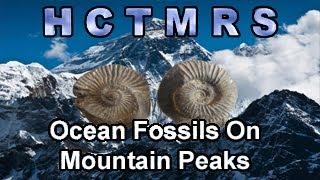 How Creationism Taught Me Real Science 103 Ocean Fossils on Mountain Peaks