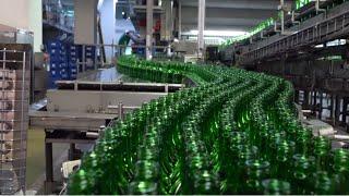 How Are Made Korea's most popular alcohol (soju) in Factory? | Amazing mass production factory!