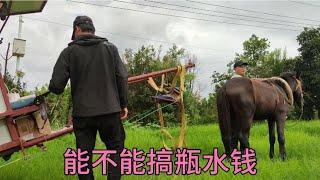 现在视频都是收入毛毛钱了吗