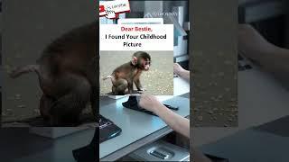 Bestie Childhood Picture ️ #memelab #funny #memes #funnyimages #funnymemes #laughoutloud
