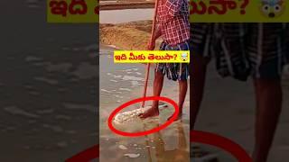 salt and sugar very dangerous | unknown facts in telugu | shorts