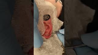 Industrial Piercing by Jabba  @get-piercedltd Carlisle, Cumbria