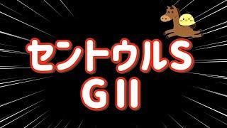 激走【セントウルS GⅡ 2024.9.8】サマースプリント最終戦！駆け抜けろ3万勝負！！