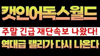 [캣인어독스월드]뮤코인 역대급 랠리 또 터트릴 재단 일정 공개 #뮤코인 #캣인어독스월드코인 #캣인어독스월드호재 #캣인어독스월드