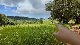 'HEAVEN' , 3 hours drive from bangkok (Khao Yai National Park )