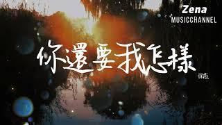 你還要我怎樣 徐薇「至少分開的時候我落落大方」【動態歌詞/Lyrics】(原唱 : 薛之謙 )