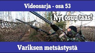 Osa 53 - Variksen metsästystä - kausi 2019/2020