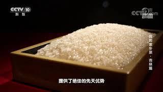 吉林人在吃米这件事上占足了先机 《味道》 我的家乡菜·吉林篇 | 美食中国 Tasty China