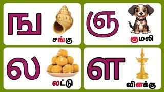 க ங ச ஞ வரிசை சொற்கள்|தமிழ் உயிர் மெய் எழுத்துக்கள்|basic tamil learning videos|Ilanthalir