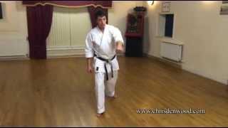 Traditional Karate - Multi Dimensional Dynamics