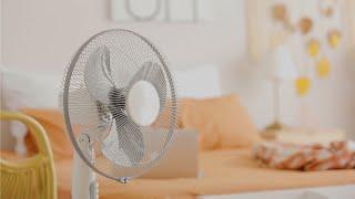 Best Fan Noise for Sleep & Study | 24 Hours White Noise for Deep Relaxation & Calmness | No Ads