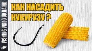 Как насадить кукурузу на крючок | Четыре способа | HD
