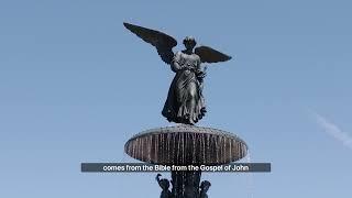 Celebrating 150 Years of Bethesda Fountain