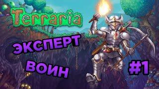 Путь Воина - Terraria - #1.