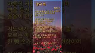 양지 쪽 윤동주 | 숏츠 | 항일 시인 | 반일 시인 | 자랑스러운 우리나라 민족 저항 시인
