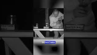 Медведи стали дегустаторами 