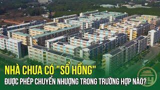 Nhà chưa có "SỔ HỒNG" được phép chuyển nhượng trong trường hợp nào?