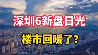 短短7天，深圳6盘新房日光，卖房2853套，比8月份二手房成交总量高出了40%。